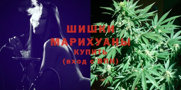 винт Тобольск